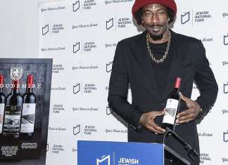 New Israeli line of Passover wine launched by former NBA all-star Amar’re Stoudemire