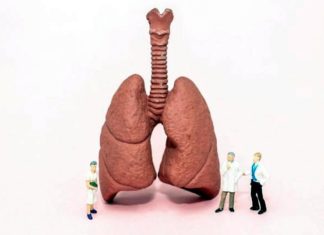 3D bioprinted lungs to be available for global transplants lllustrative image by Nixx Photography/Shutterstock.com.