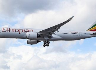 Ethiopian Airlines crashes near Addis Ababa en route to Nairobi, Kenya An Ethiopian Airlines airplane. Source: Mark Harkin, Wikimedia Commons.