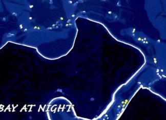 Art meets science: Is that a field of flowers or the brain of a mouse?