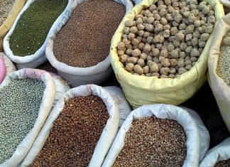 On Shavuot, savor the dairy, but don’t forget the grains Grains are included in the traditional dairy dishes associated with the holiday of Shavuot. Credit: Wikimedia Commons.