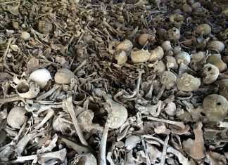 Steps for preventing future genocides