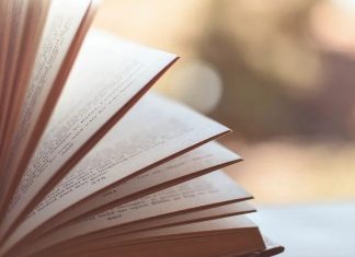 Hanukkah lockdown? Grab a hold of good reads for all ages