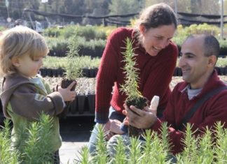 Holocaust remembrance and Tu B’Shevat: Resilience meets renewal Two-year-old Hagai, and his parents Ofra and Eyal, choose plants in a nursery in Eshtaol, Israel, in celebration of Tu B'Shevat on Jan. 19, 2011. Credit: Nati Shohat/Flash90.