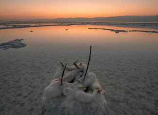 Can a magnificent art museum help save the dying Dead Sea? Salt formations on the Dead Sea shore, July 7, 2020. Photo by Mila Aviv/Flash90.