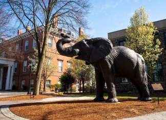 Tufts University president announces plans to fight anti-Semitism on campus Tufts University. Source: Facebook.