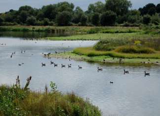 Local UK council rejects BDS bid to divest from companies tied to Israel Hertfordshire County, United Kingdom. Source: Facebook.