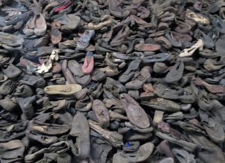 March of Living raises $500,000 to conserve 8,000 shoes at Auschwitz museum Shoes displayed at Auschwitz-Birkenau in 2018. Photo by Menachem Wecker.