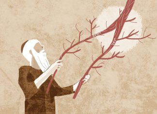 Biblical prophecy unfolds as two brothers reunite "I will take the stick of Yosef .. .and I will place it with the stick of Yehuda ... and they shall be one in My hand" (Ezekiel 37:19). Image: Meirav Barlev