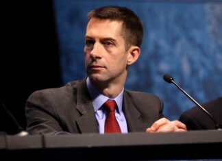 Cotton on weapons freeze: ‘No choice but to impeach Biden’