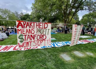 10 pro-Palestinian lies told by the ‘useful idiots’