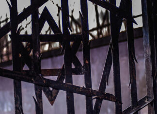 WJC announces new tech institute and report on AI-fueled Holocaust denial