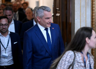 Yad Vashem lauds Austria for combating antisemitism