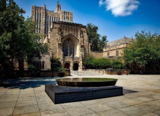 Yale antisemitism program names inaugural managing director Yale University. Credit: Pixabay.