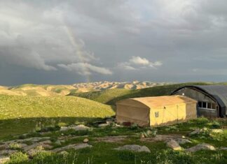 Renewing ‘tikkun olam’ in modern times Judea and Samaria. Credit: Tovid Sarid Photography.