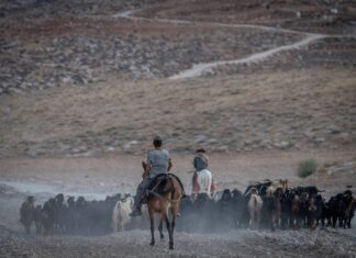 Booker, Goldman ask Trump to respond to ‘settler violence