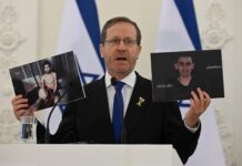 Herzog to visit New York