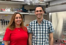 Israeli team uncovers how breast cancer spreads to brain