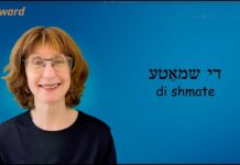 Yiddish Word of the Day: Cleaning