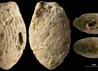 ‘Children shaped clay 15,000 years ago in Israel’