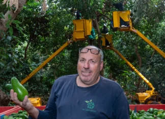 IDF probe: Civilian killed by ‘friendly fire’ at border