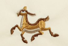 What Is Chad Gadya Really About?