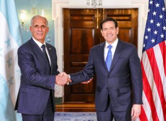 Jerusalem’s top diplomat applauds exit of Honduras, Bolivia from anti-Israel Hague Group