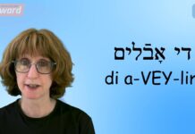 Yiddish Word of the Day: Grief