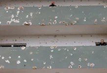 Of all places leading the way against antisemitism, look to Ukraine